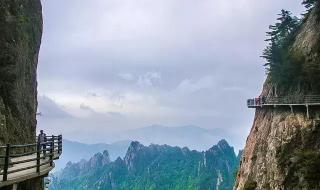 河南景区免票一个月