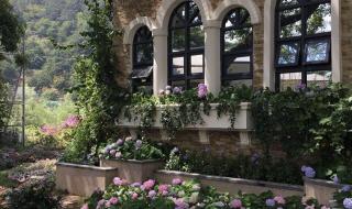 永恒之塔宏 永恒之塔宏